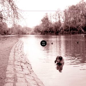 2007_0304 : Music From The Park - Inside