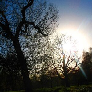 1998_0820 : Bewitched (Mambo)